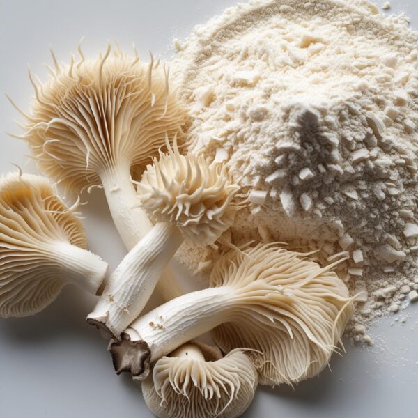 Lion’s Mane Mushroom Powder
